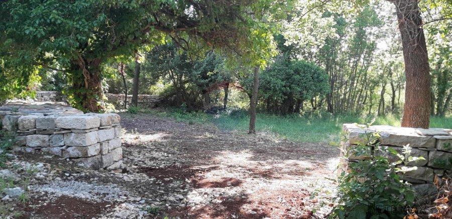 Istra, bliža okolica Vodnjana, velika parcela u prirodi - 3
