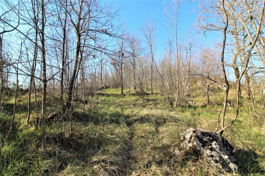MATULJI,PERMANI- građevinsko zemljište 4057 m2 - 6