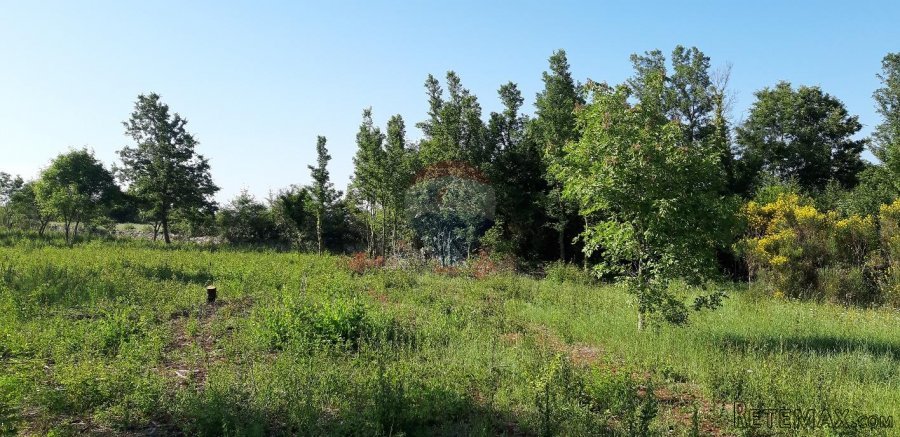 Istra, bliža okolica Vodnjana, velika parcela u prirodi - 8