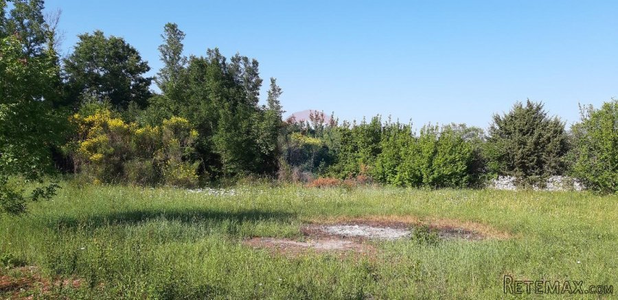 Istra, bliža okolica Vodnjana, velika parcela u prirodi - 9