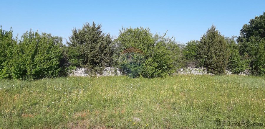Istra, bliža okolica Vodnjana, velika parcela u prirodi - 10