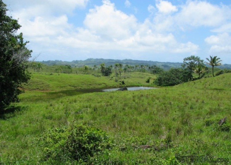 Amazing Caribbean Farm For Sale Near.. - 2