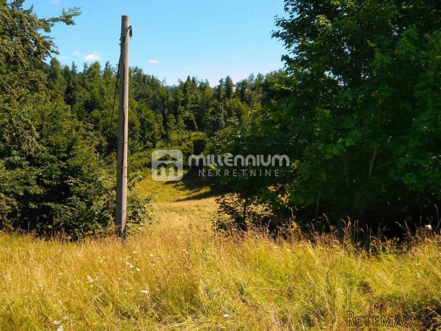 Gorski Kotar, Vrata, 35.159m2 poljoprivrednog zemljišta - 2