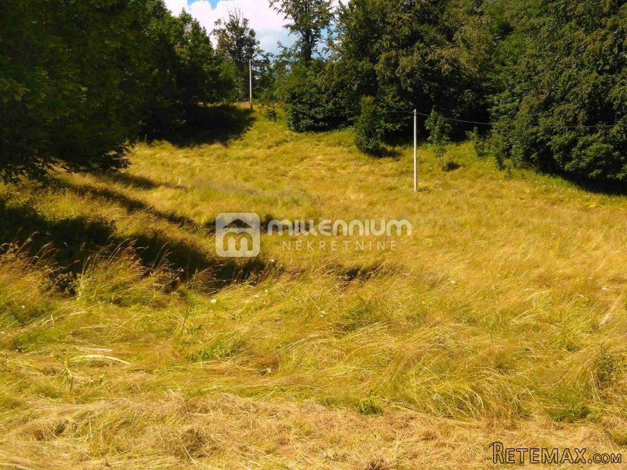 Gorski Kotar, Vrata, 35.159m2 poljoprivrednog zemljišta - 4