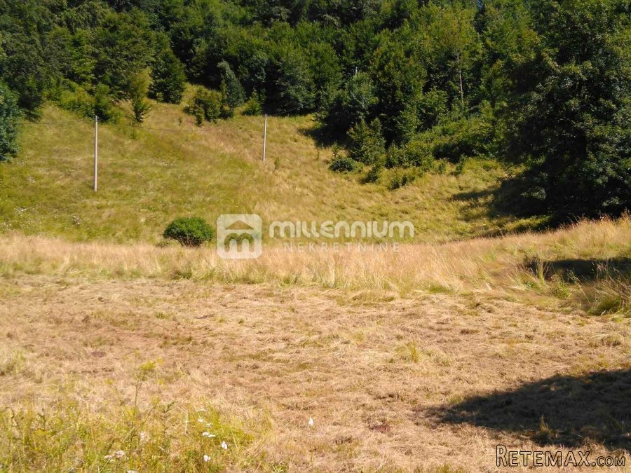 Gorski Kotar, Vrata, 35.159m2 poljoprivrednog zemljišta - 5