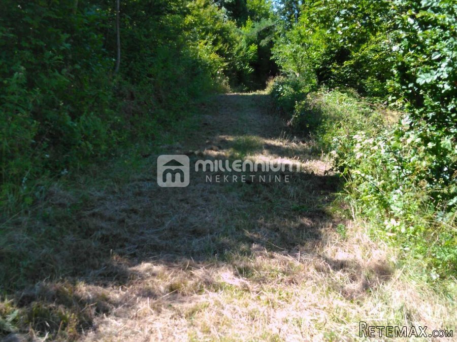 Gorski Kotar, Vrata, 35.159m2 poljoprivrednog zemljišta - 6