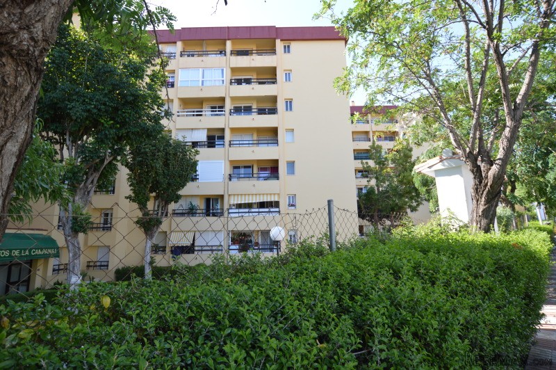 Attractive Property in la Campana