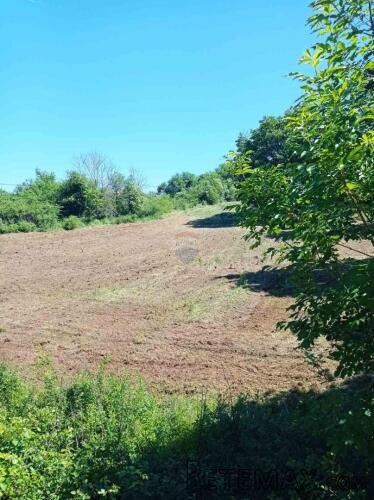 ISTRA, BARBAN - Građevinsko zemljište 1227 m2 - 2