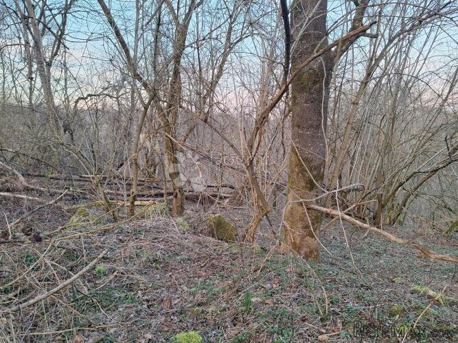 5km od toplica, malo građevinskog, malo poljoprivrednog - 3