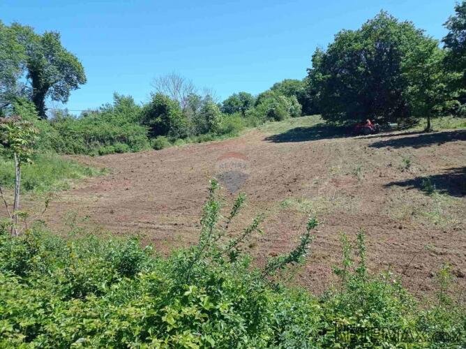 ISTRA, BARBAN - Građevinsko zemljište 1227 m2 - 3