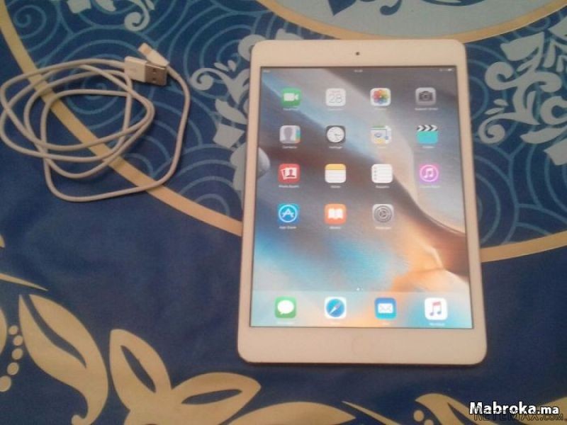 IPad mini 16 gb Wifi avec cable..