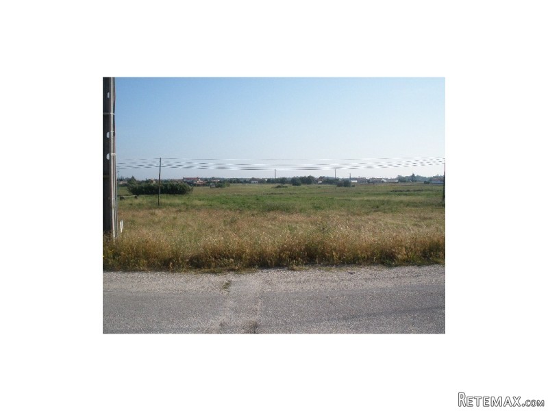 Rural Land in Monte Real e Carvide - 2