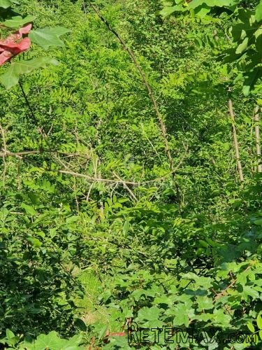 PERMANI, zemljište od 6.422 m2 s građevinskom dozvolom za g.. - 2