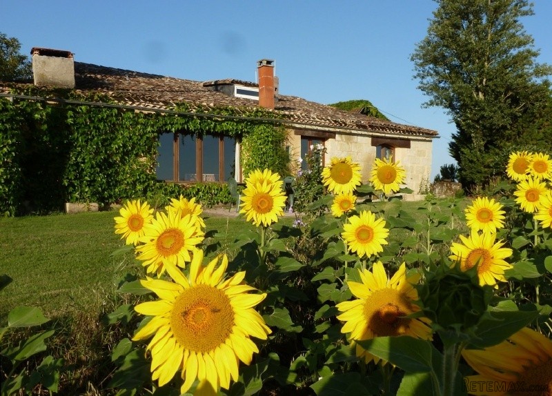 Successful Gite Complex and Spa in Lot..