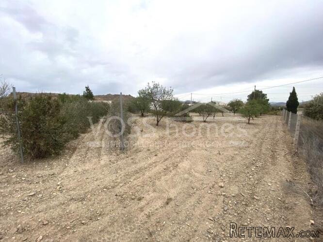 NEW & EXCLUSIVE TO VOSS HOMES - Urban building plot of.. - 7