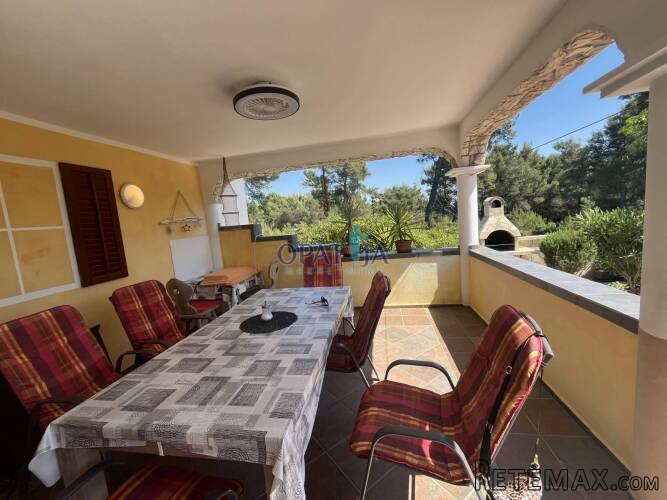 Kuća Vir 3 apartmana Južna orijentacija 180m od mora