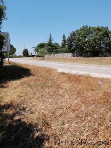 Istra - Bale, blizina ceste Rovinj-Pula, zemljište 1.300 m2 - 3