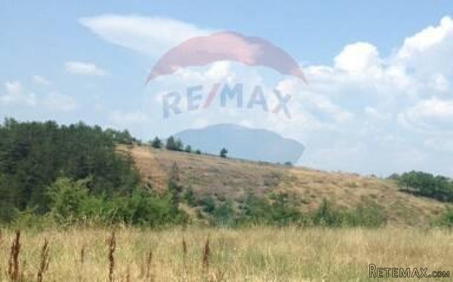 Grimalda, poljoprivredno zemljište 22 800m2 - 5
