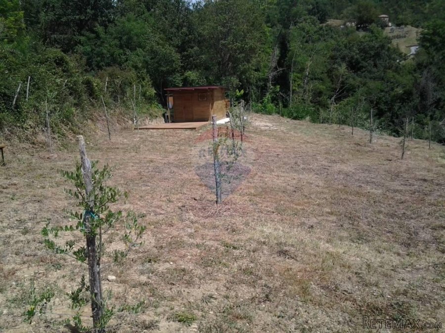 Grimalda, poljoprivredno zemljište 22 800m2 - 6