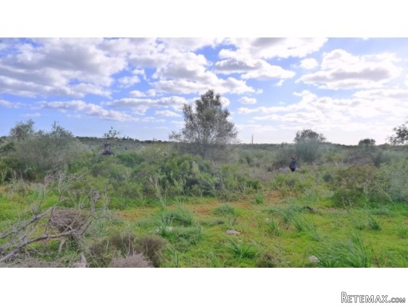 Plot To Built 2 Villas 300m2 - 2