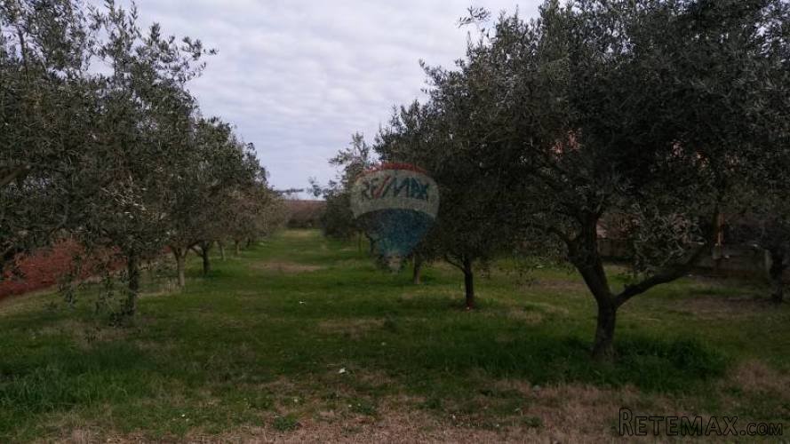 Istra, Vodnjan, građevinsko zemljište-odlična lokacija - 3