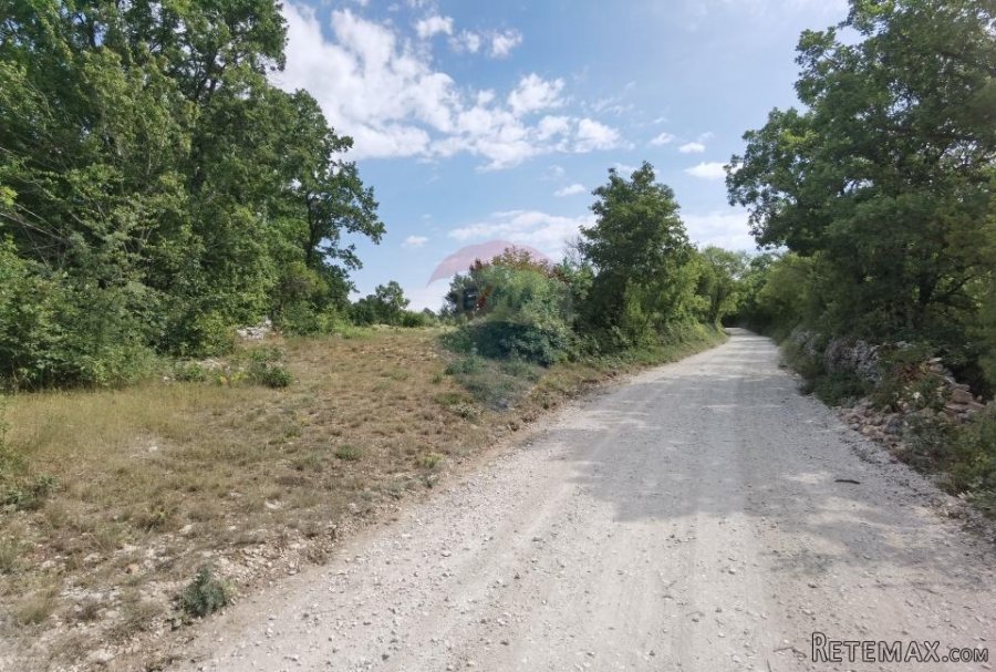 ISTRA, 2 h -poljoprivrednog zemljišta sa započetom gradnjom - 9