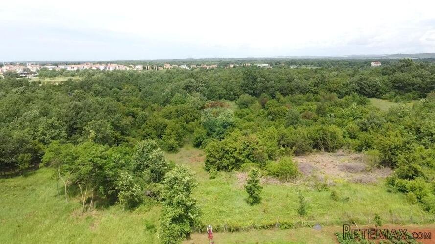 Istra, Poreč, Žbandaj-veliko poljoprivredno zemljište s ucrt - 3