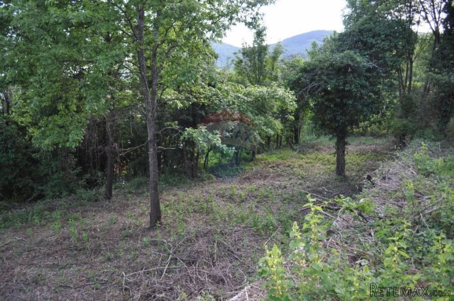 Teren na Jušićima - 6