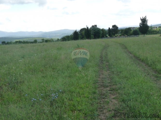 PUNTERA, atraktivno zemljište od 19449 m2 sa pogledom na... - 3