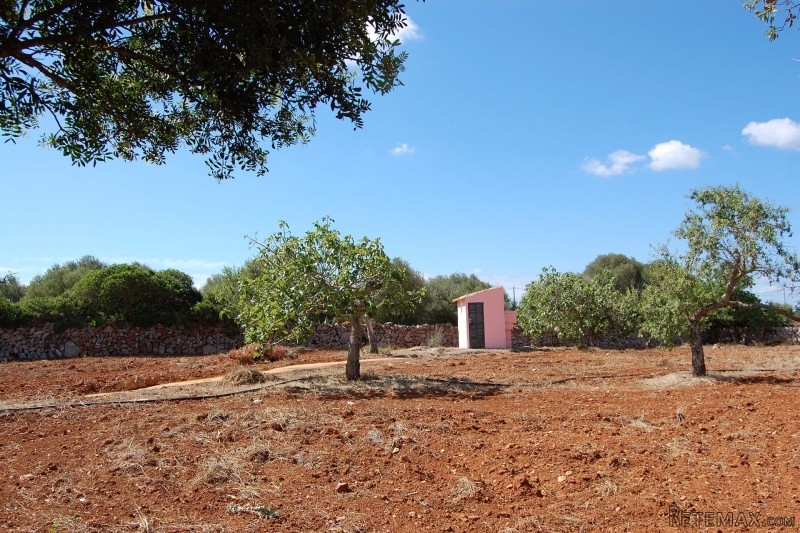 Finca In Cala Llombarts