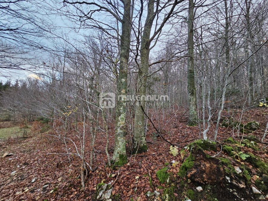 Gorski kotar, Lič, građevinsko zemljište, 2.930m2 - 2