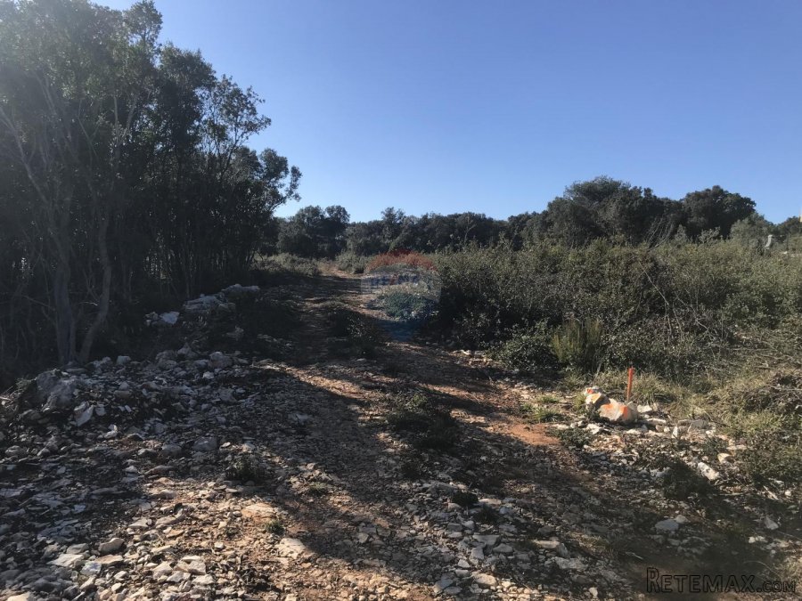Istra,Pavićini,negrađevinsko zemljište blizu Duge uvale - 2