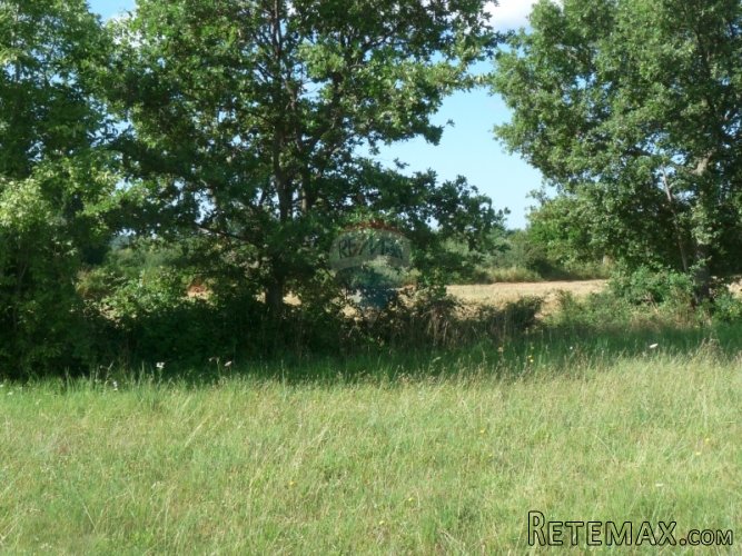 PUNTERA, atraktivno zemljište od 19449 m2 sa pogledom na... - 4
