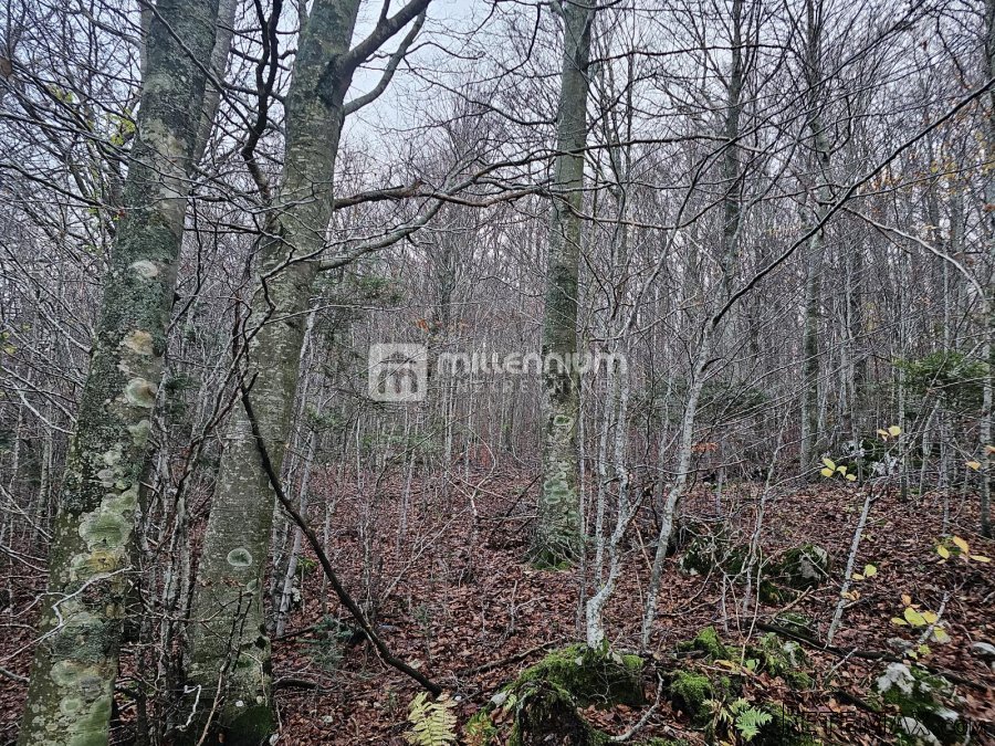 Gorski kotar, Lič, građevinsko zemljište, 2.930m2 - 3
