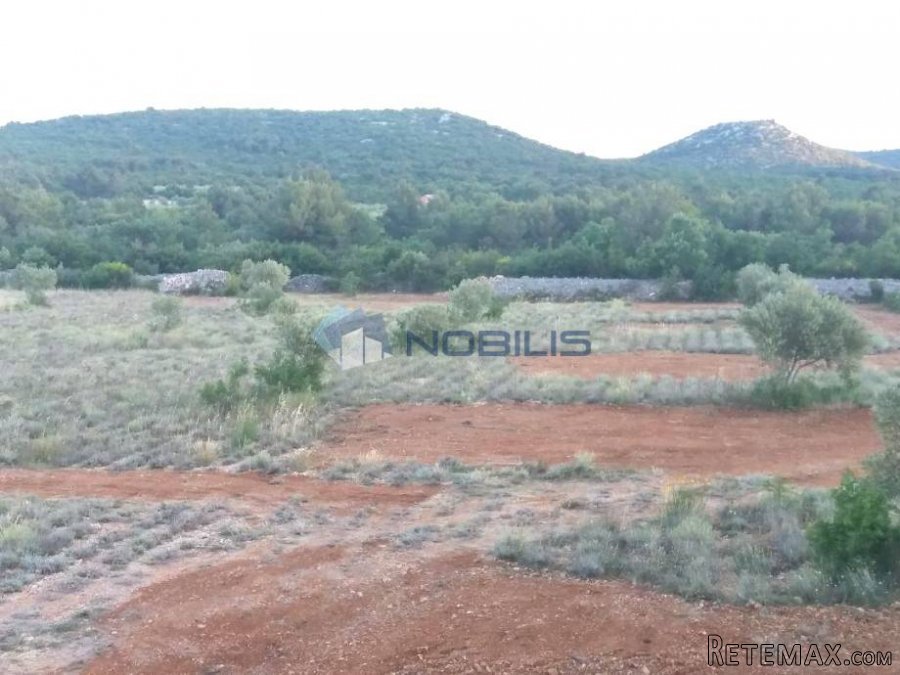 Šibenik, Vodice, građ. zemljište 15988 m2, maslinik, vl.. - 3