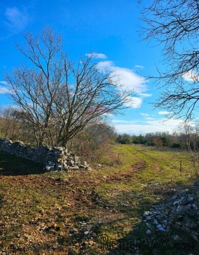 Labin, Trget poljoprivredno zemljište od 3669m2 - 3