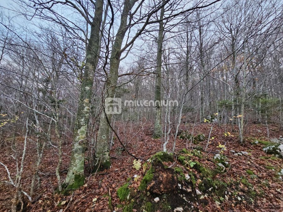 Gorski kotar, Lič, građevinsko zemljište, 2.930m2 - 4