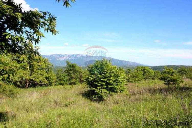 Zemljište za kuću za odmor centralna Istra - 5