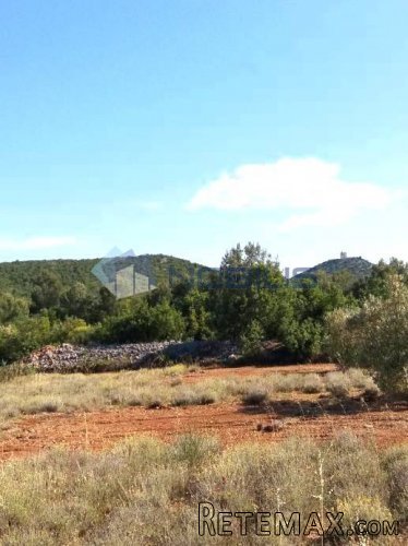 Šibenik, Vodice, građ. zemljište 15988 m2, maslinik, vl.. - 5