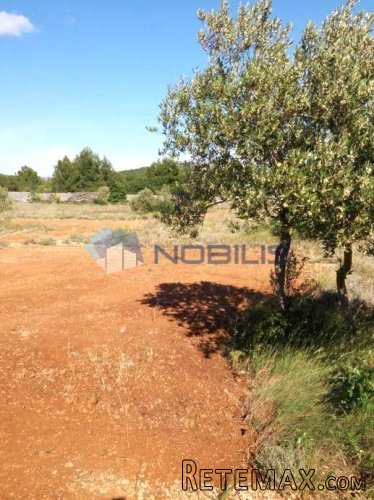 Šibenik, Vodice, građ. zemljište 15988 m2, maslinik, vl.. - 6