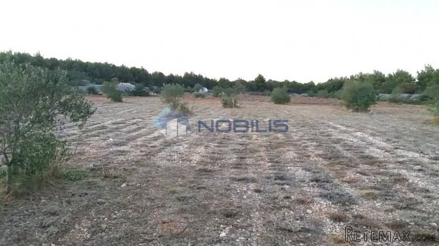 Šibenik, Vodice, građ. zemljište 15988 m2, maslinik, vl.. - 8