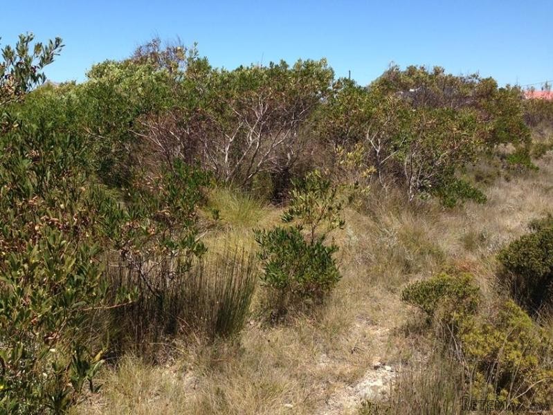 Bettys Bay Vacant Land, Bettys Bay
