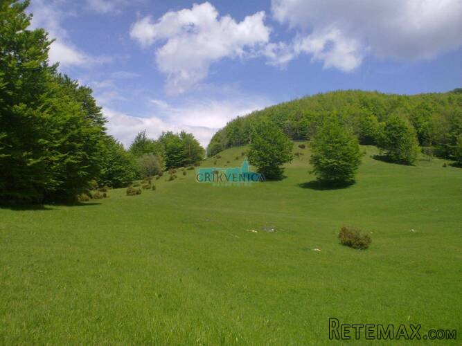 LEPENICE - 19 000 m2 - 2