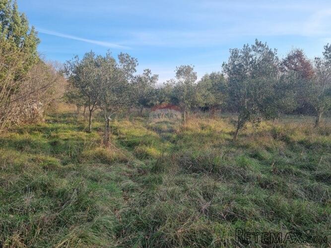 Pula,Krnica, poljoprivredno zemljište od 1309m2 - 2