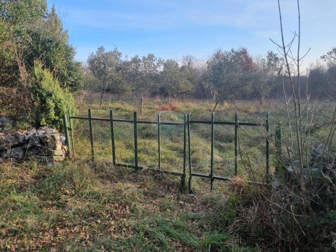 Pula,Krnica, poljoprivredno zemljište od 1309m2 - 3
