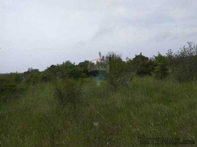 Istra, Pomer- Građevinsko zemljište u industrijskoj zoni... - 3