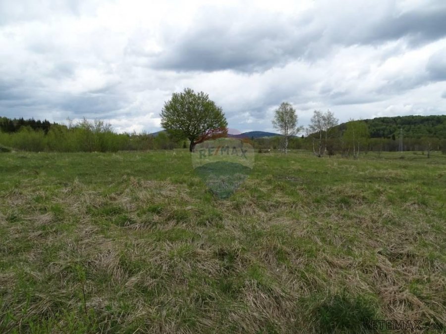 Za investitore-Zalesina-velik gr.teren - 4