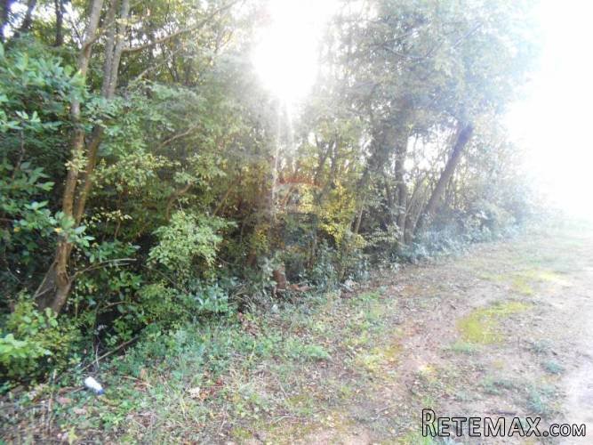 Istra, Pula, veliko građevisnko zemljište u predgrađu - 3