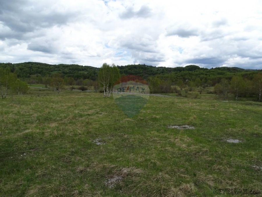 Za investitore-Zalesina-velik gr.teren - 6