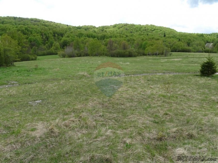 Za investitore-Zalesina-velik gr.teren - 8